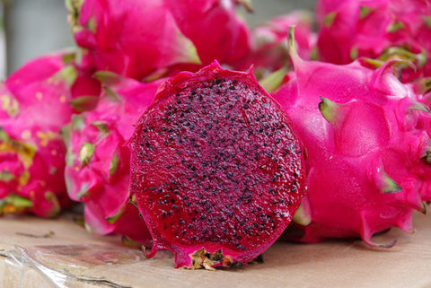 Red Dragon Fruit