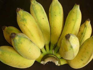 Thai Banana